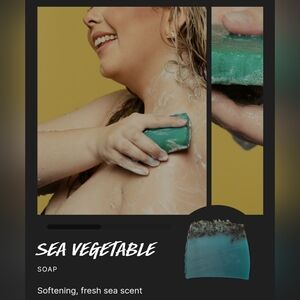 FREE W/ $50 PURCHASE Lush Sea Vegetable Soap